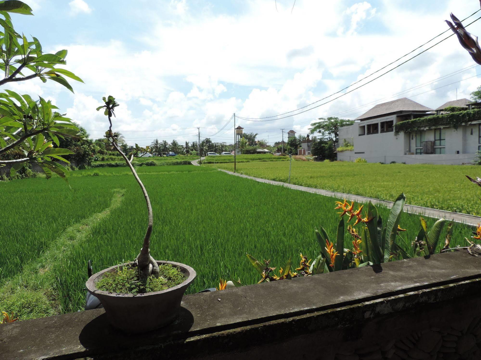 Nick's Hidden By Mahaputra-chse Certified Maison d'hôtes Ubud